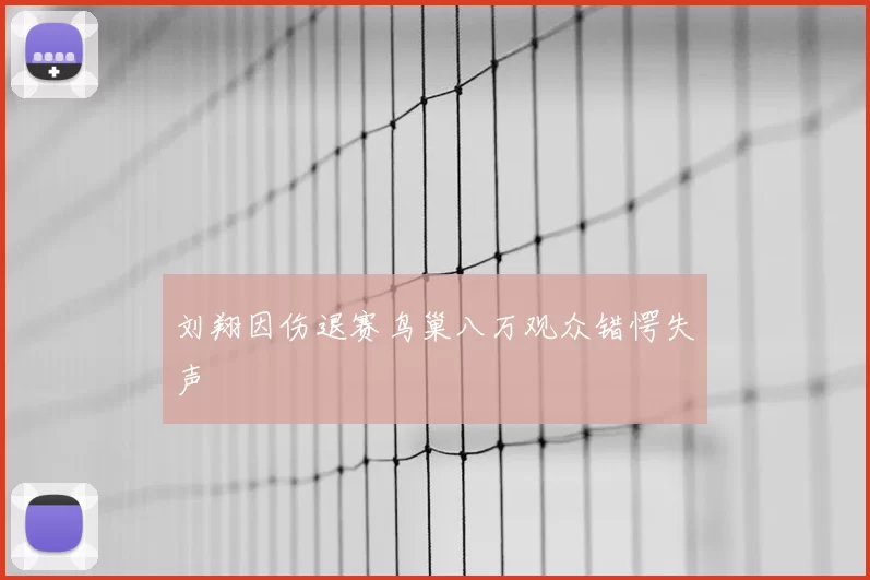 刘翔因伤退赛鸟巢八万观众错愕失声