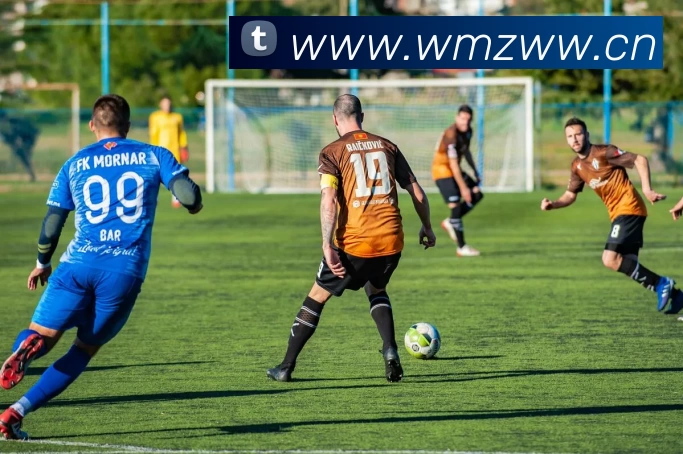 中欧网页版登录入口 - 中欧(中国)发展历程